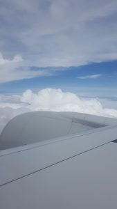 20160825_rola_ar0013