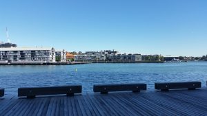 20160827_rola_an0009