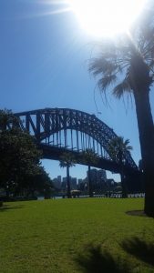 20160827_rola_an0025