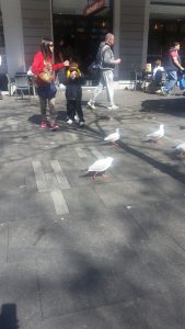 20160827_rola_an0039