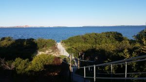 20160827_rola_an0040