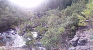 20160830_rola_an0065