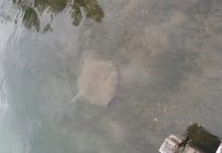 20160831_rola_an0068