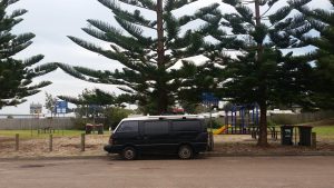 20160831_rola_an0070