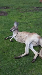 20160901_rola_an0083