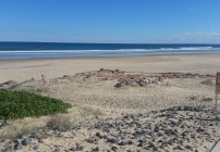 20160901_rola_an0085