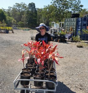 20160930_rola_an0147