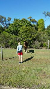 20161010_rola_an0155