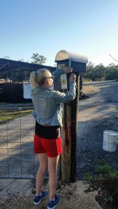 20161010_rola_an0158