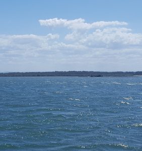 20161026_rola_an0188