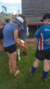 20161118_rola_an0211