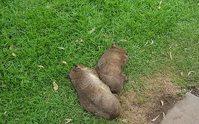 Captain: Eins und eins uuuuuuund eins