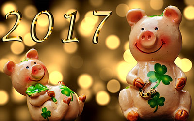 FROHES NEUES Jahr 2017