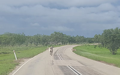 Auf dem Weg nach Alice Springs