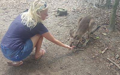 Weihnachten, Silvester und die Polizei